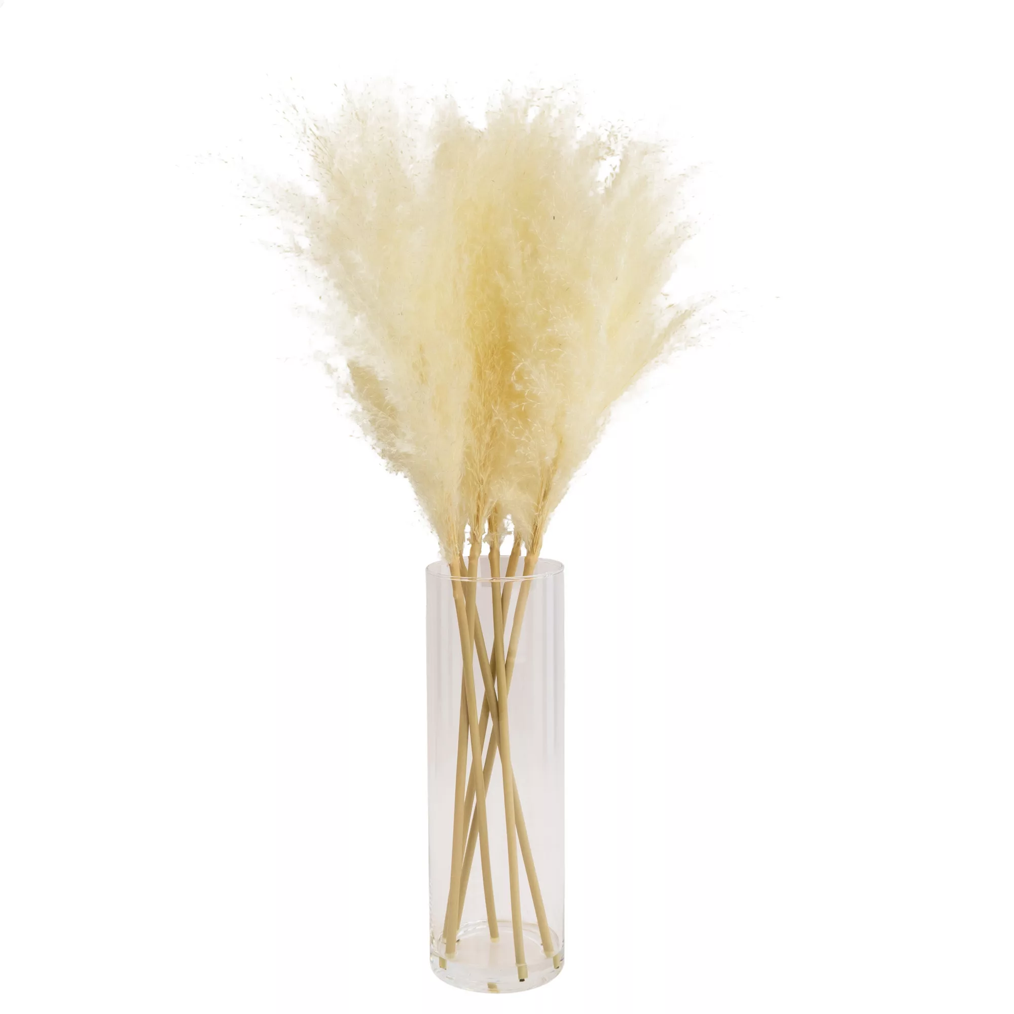 64cm White Pampas Grass Artificial Plant In Clear Glass Vase 1 64cm White Pampas Grass Artificial Plant In Clear Glass Vase