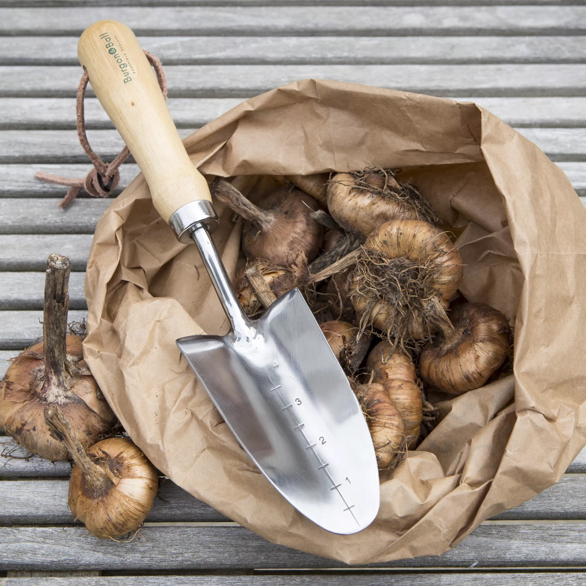 Burgon & Ball RHS Transplanter 3 Burgon & Ball RHS Transplanter - Image 3