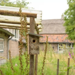 CJ Wildlife Kopervik Natural Nest Box 9 CJ Wildlife Kopervik Natural Nest Box -Hozelock Store cj wildlife kopervik natural nest box5051054263069 01i scaled