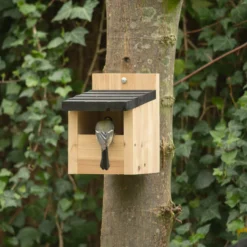 CJ Wildlife Viborg Natural Nest Box -Hozelock Store cj wildlife viborg natural nest box5051054244457 01i scaled