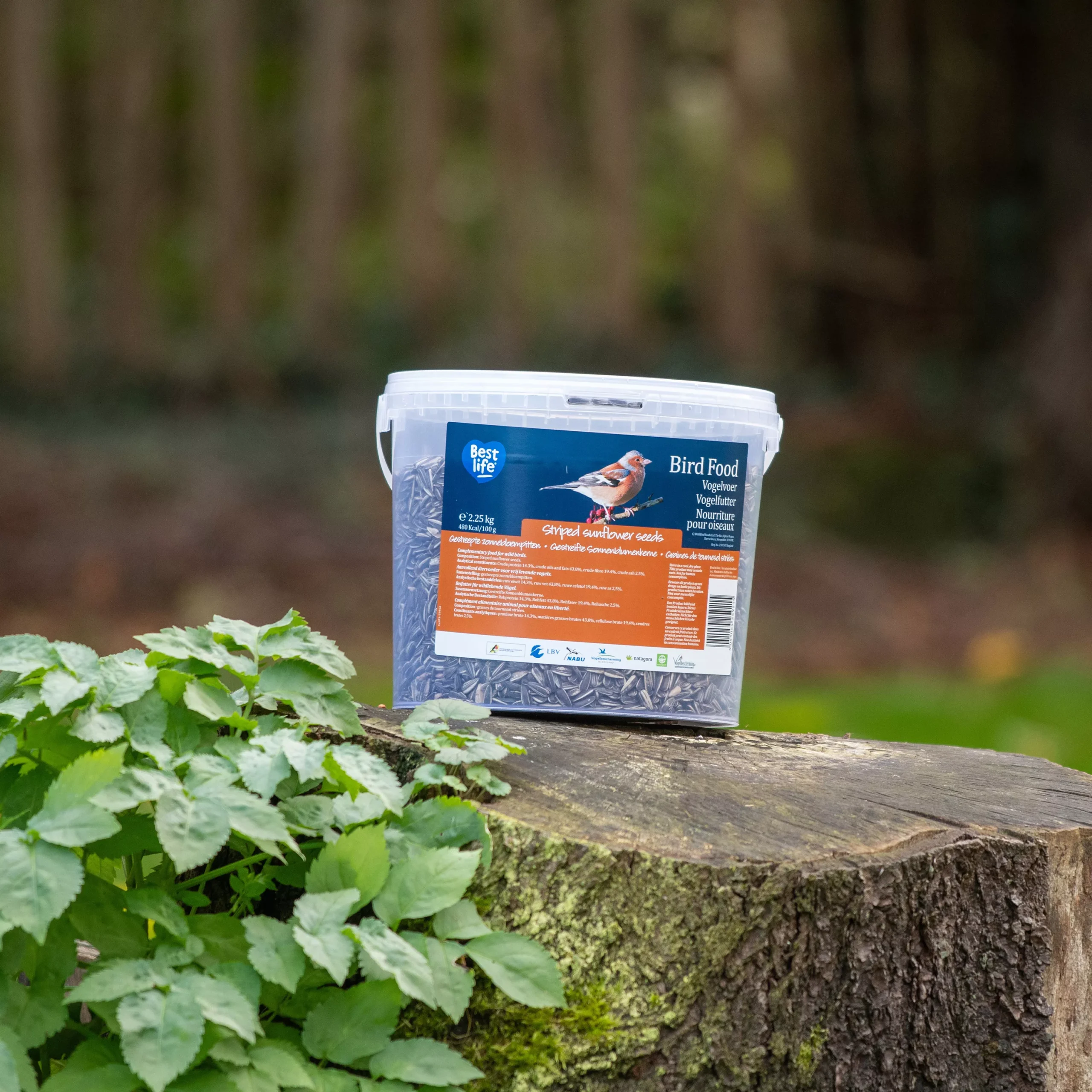 CJ Wildlife Wild Bird Feed 2.25kg 2 CJ Wildlife Wild Bird Feed 2.25kg - Image 2