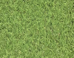 Dennis Artificial Grass 8m² (T)22mm -Hozelock Store dennis artificial grass 8m t 22mm3663602425175 36c scaled