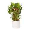 Flamingo Flower White Crackle Ceramic Decorative Pot