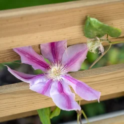 Forest Garden Living Screen Natural Timber Rectangular Planter (H) 180cm X (W) 90cm -Hozelock Store forest garden living screen natural timber rectangular planter h 180cm x w 90cm5013053190227 02i