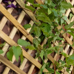 Forest Garden Trellis Natural Timber Rectangular Planter (H) 137cm X (W) 80cm -Hozelock Store forest garden trellis natural timber rectangular planter h 137cm x w 80cm5013053190616 02i