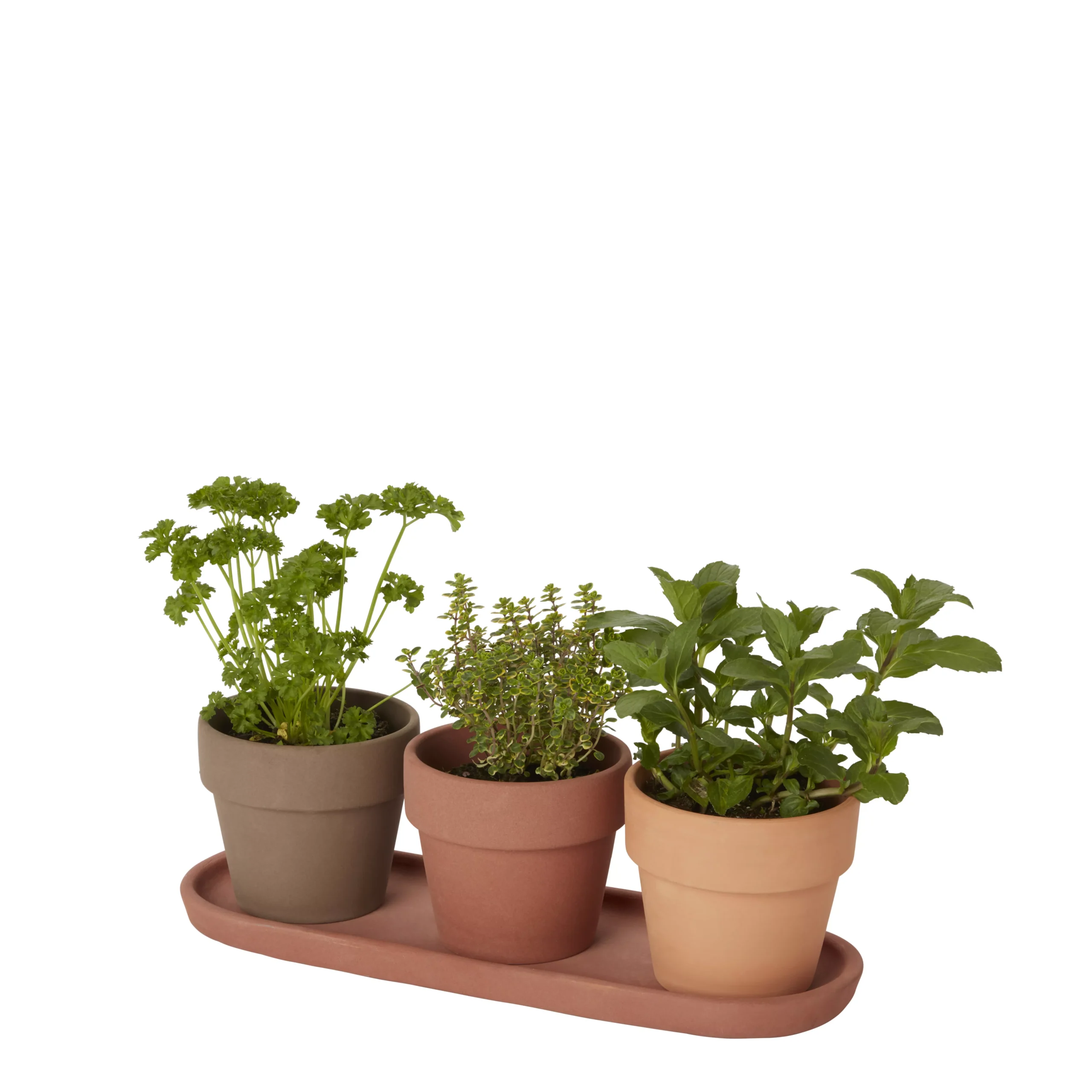 GoodHome Arara Terracotta Cement & Terracotta Round Plant Pot (Dia)10.9cm 2 GoodHome Arara Terracotta Cement & Terracotta Round Plant Pot (Dia)10.9cm - Image 2