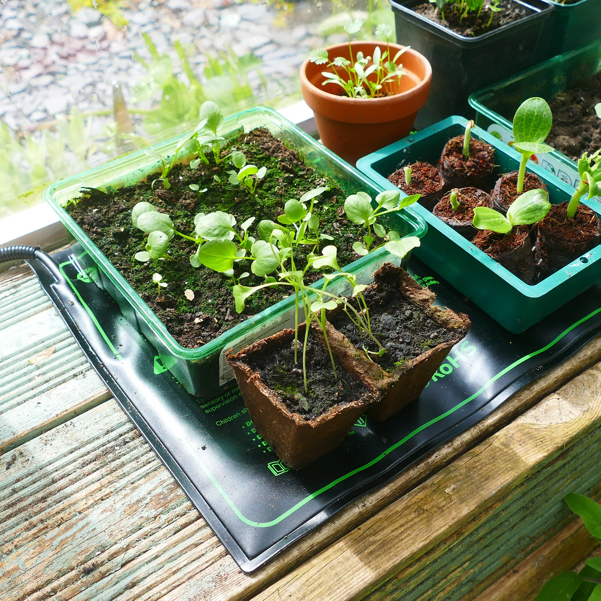 Gro-Sure 50cm Propagation Mat 2 Gro-Sure 50cm Propagation Mat - Image 2