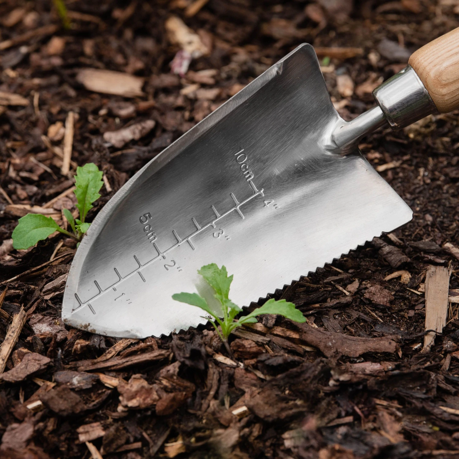 Kent & Stowe Hand Trowels Natural Trowel (H) 320mm X (W) 86mm 2 Kent & Stowe Hand Trowels Natural Trowel (H) 320mm X (W) 86mm - Image 2