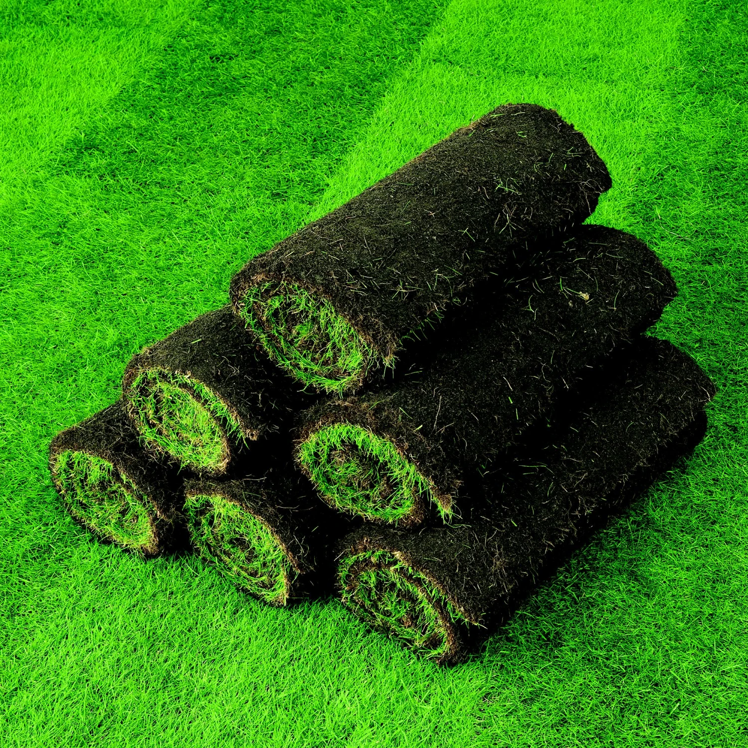 Lawn Turf, 59m² Pack 6 Lawn Turf, 59m² Pack - Image 6