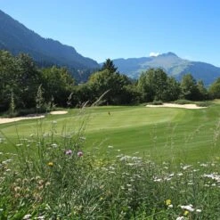 Meadowmat Wildflower Turf, 20m² Pack -Hozelock Store meadowmat wildflower turf 20m pack04168157 04i bq