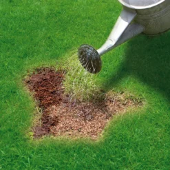 Miracle-Gro Patch Magic Lawn Patch Repairer 13m² 1L 1kg -Hozelock Store miracle gro patch magic lawn patch repairer 13m 1l 1kg5010272090567 02i bq