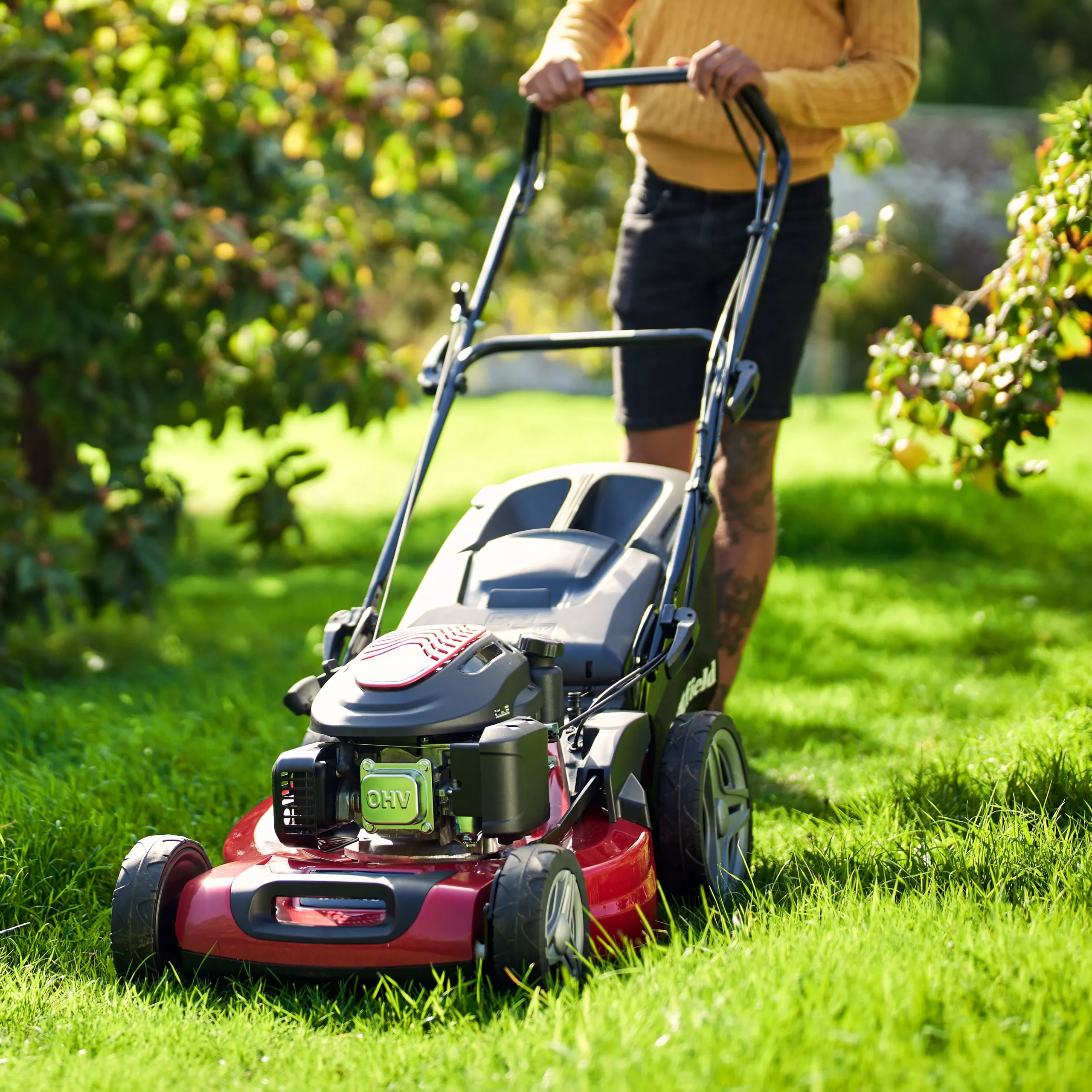 Mountfield HW531 PD / 294556043/M22 196cc Petrol Rotary Lawnmower 3 Mountfield HW531 PD / 294556043/M22 196cc Petrol Rotary Lawnmower - Image 3