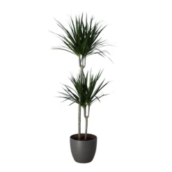 Never Plant In 24cm Assorted Ceramic Decorative Pot -Hozelock Store never plant in 24cm assorted ceramic decorative pot5059340827834 22c