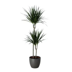 Never Plant In 24cm Assorted Ceramic Decorative Pot 5 Never Plant In 24cm Assorted Ceramic Decorative Pot -Hozelock Store never plant in 24cm assorted ceramic decorative pot5059340827834 22c scaled