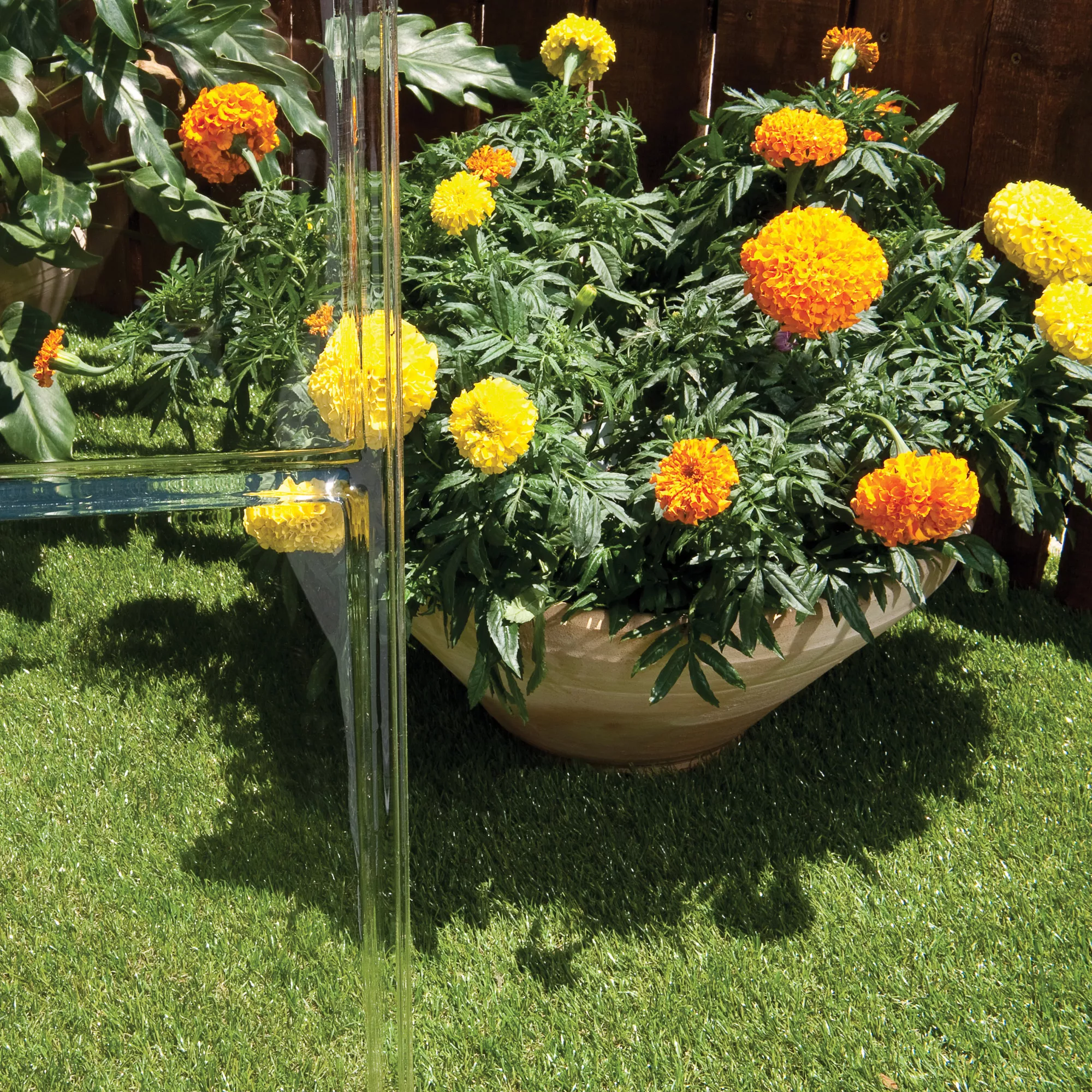 Palram - Canopia Harmony Green 6x6 Greenhouse 5 Palram - Canopia Harmony Green 6x6 Greenhouse - Image 5