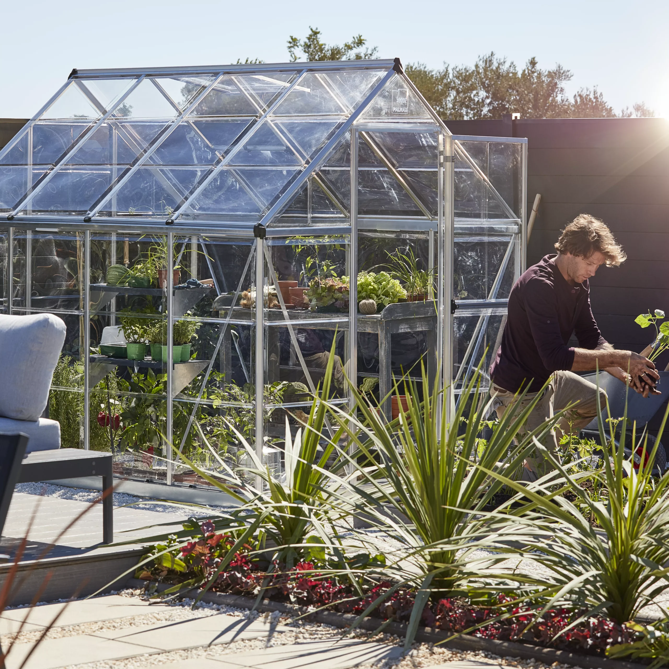 Palram - Canopia Harmony Silver 6x8 Greenhouse 14 Palram - Canopia Harmony Silver 6x8 Greenhouse - Image 14