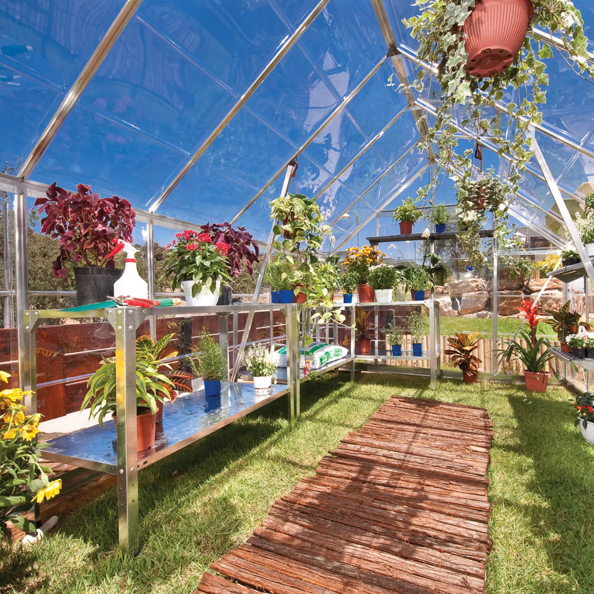 Palram - Canopia Octave Silver Greenhouse 2 Palram - Canopia Octave Silver Greenhouse - Image 2