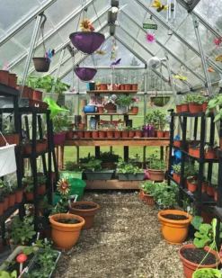 Palram - Canopia Octave Silver Greenhouse 26 Palram - Canopia Octave Silver Greenhouse -Hozelock Store palram canopia octave silver greenhouse7290103111472 05i scaled