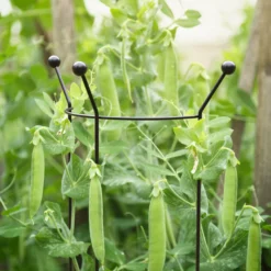 Hozelock Store -Hozelock Store panacea steel curved plant support frame l 147cm dia 37cm0093432825501 01i bq