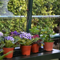 Rion Grand Gardner Green 8x20 Greenhouse -Hozelock Store rion grand gardner green 8x20 greenhouse7290103121648 38c