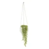 String Of Beads In 13cm White Ceramic Hanging Pot