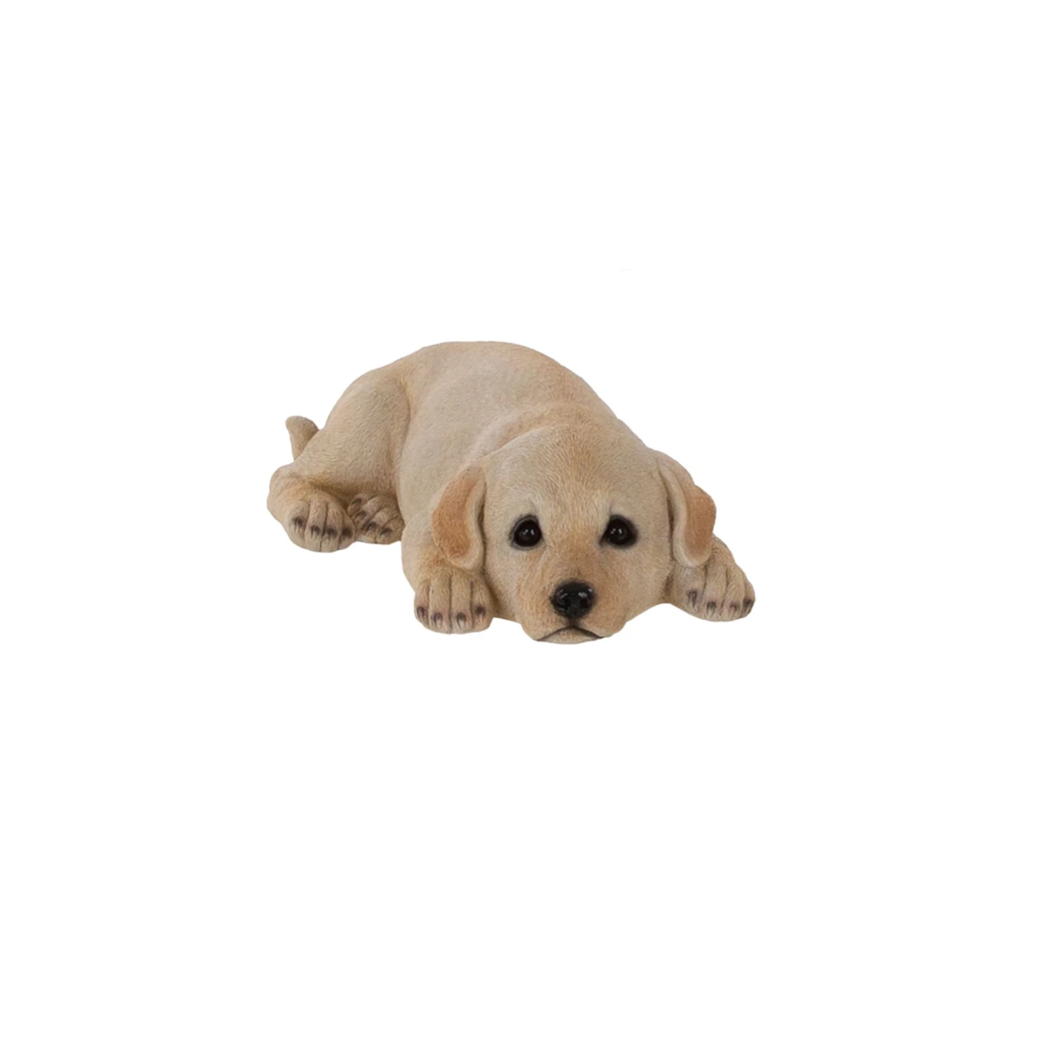 Terrastyle Cream Resin Labrador Puppy Garden Ornament (H)9cm 1 Terrastyle Cream Resin Labrador Puppy Garden Ornament (H)9cm