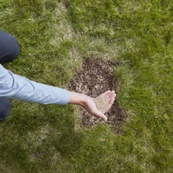 Verve Easy Start Coated Grass Seeds, 1.5kg 10 Verve Easy Start Coated Grass Seeds, 1.5kg -Hozelock Store verve easy start coated grass seeds 1 5kg3663602947493 03i