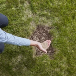 Verve Easy Start Coated Grass Seeds, 1.5kg 10 Verve Easy Start Coated Grass Seeds, 1.5kg -Hozelock Store verve easy start coated grass seeds 1 5kg3663602947493 03i scaled