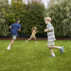 Verve Family & Sports Grass Seeds, 1.5kg 14 Verve Family & Sports Grass Seeds, 1.5kg -Hozelock Store verve family sports grass seeds 1 5kg3663602947516 01i