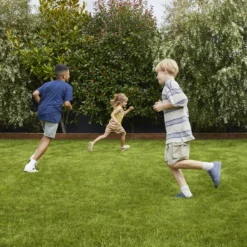 Verve Family & Sports Grass Seeds, 1.5kg 14 Verve Family & Sports Grass Seeds, 1.5kg -Hozelock Store verve family sports grass seeds 1 5kg3663602947516 01i scaled