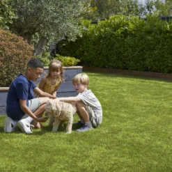 Verve Family & Sports Grass Seeds, 1.5kg 17 Verve Family & Sports Grass Seeds, 1.5kg -Hozelock Store verve family sports grass seeds 1 5kg3663602947516 04i