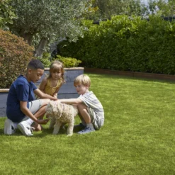 Verve Family & Sports Grass Seeds, 1.5kg 17 Verve Family & Sports Grass Seeds, 1.5kg -Hozelock Store verve family sports grass seeds 1 5kg3663602947516 04i scaled