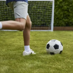 Verve Family & Sports Grass Seeds, 1.5kg 19 Verve Family & Sports Grass Seeds, 1.5kg -Hozelock Store verve family sports grass seeds 1 5kg3663602947516 06i scaled