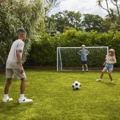 Verve Family & Sports Grass Seeds, 1.5kg 22 Verve Family & Sports Grass Seeds, 1.5kg -Hozelock Store verve family sports grass seeds 1 5kg3663602947516 09i scaled