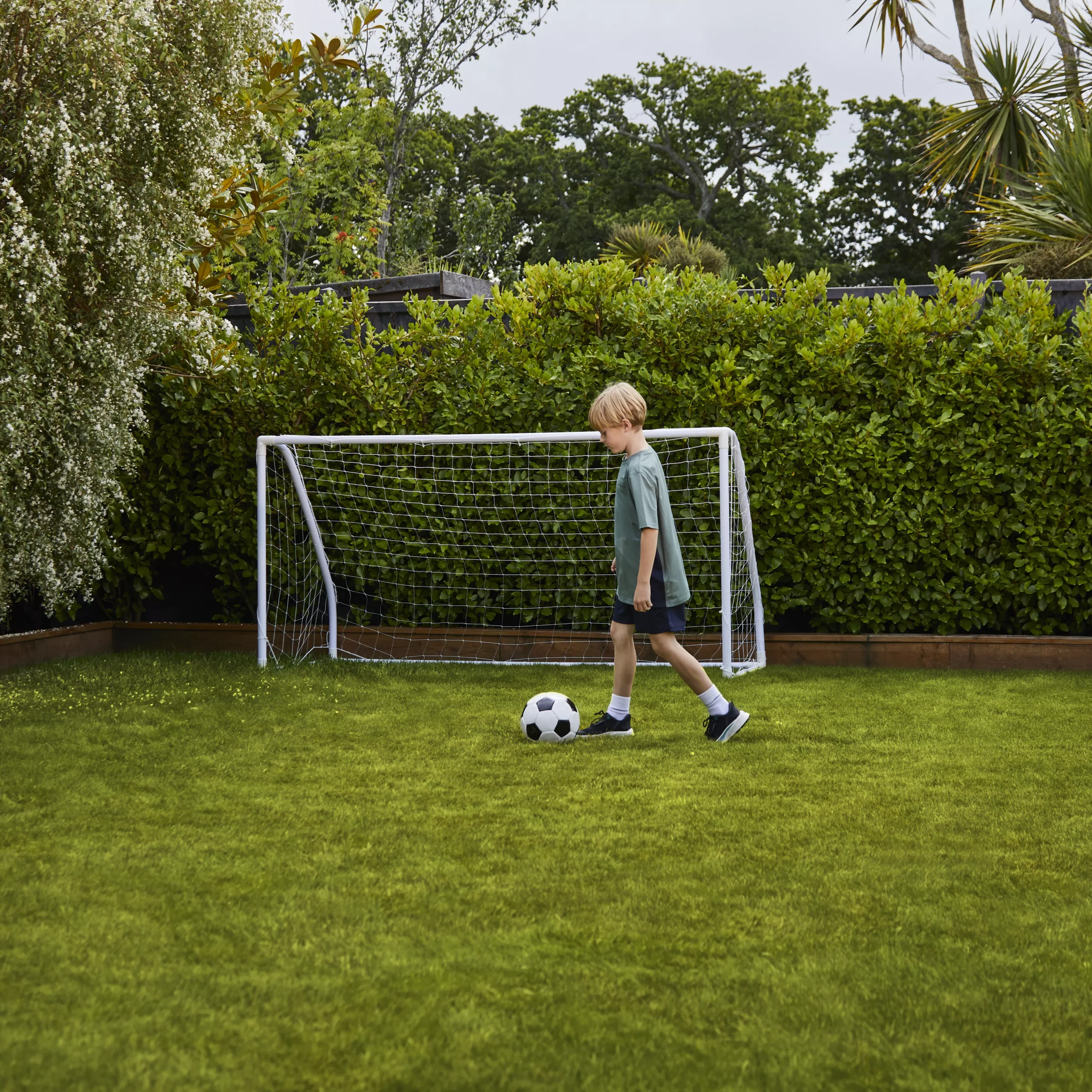 Verve Family & Sports Grass Seeds, 10kg 8 Verve Family & Sports Grass Seeds, 10kg - Image 8