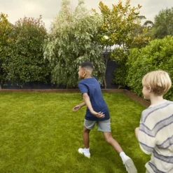 Verve Family & Sports Grass Seeds, 5kg 14 Verve Family & Sports Grass Seeds, 5kg -Hozelock Store verve family sports grass seeds 5kg3663602947516 03i