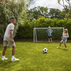 Verve Family & Sports Grass Seeds, 5kg 20 Verve Family & Sports Grass Seeds, 5kg -Hozelock Store verve family sports grass seeds 5kg3663602947516 09i