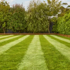 Verve Fine English Grass Seeds, 1.25kg -Hozelock Store verve fine english grass seeds 1 25kg3663602947592 01i