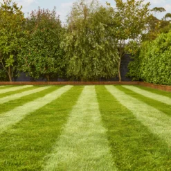 Verve Fine English Grass Seeds, 1.25kg 6 Verve Fine English Grass Seeds, 1.25kg -Hozelock Store verve fine english grass seeds 1 25kg3663602947592 01i scaled