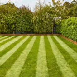 Verve Fine English Grass Seeds, 1.25kg 7 Verve Fine English Grass Seeds, 1.25kg -Hozelock Store verve fine english grass seeds 1 25kg3663602947592 02i scaled