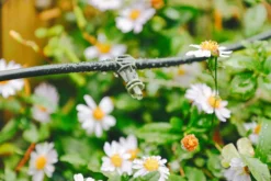 Verve Irrigation Kit 60 Pieces -Hozelock Store verve irrigation kit 60 pieces5063022059864 01i