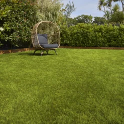 Verve Sunny Grass Seeds, 5kg -Hozelock Store verve sunny grass seeds 5kg3663602947578 01i