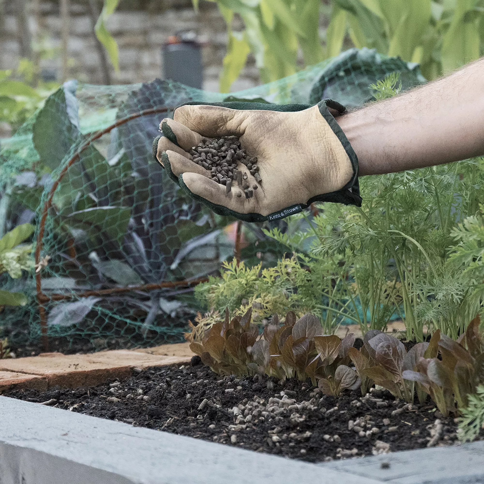 Westland Chicken Manure Pellets, 10kg 2 Westland Chicken Manure Pellets, 10kg - Image 2